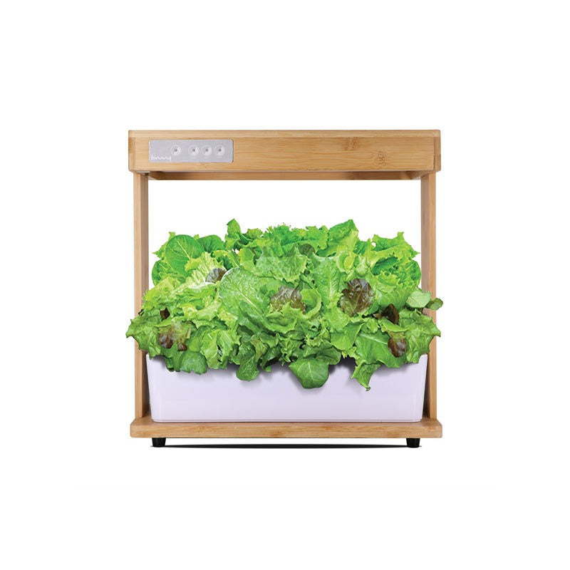 Bamboo Smart Indoor Planter with LED Grow Lights