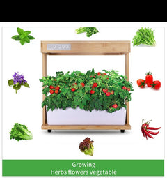 Bamboo Smart Indoor Planter with LED Grow Lights